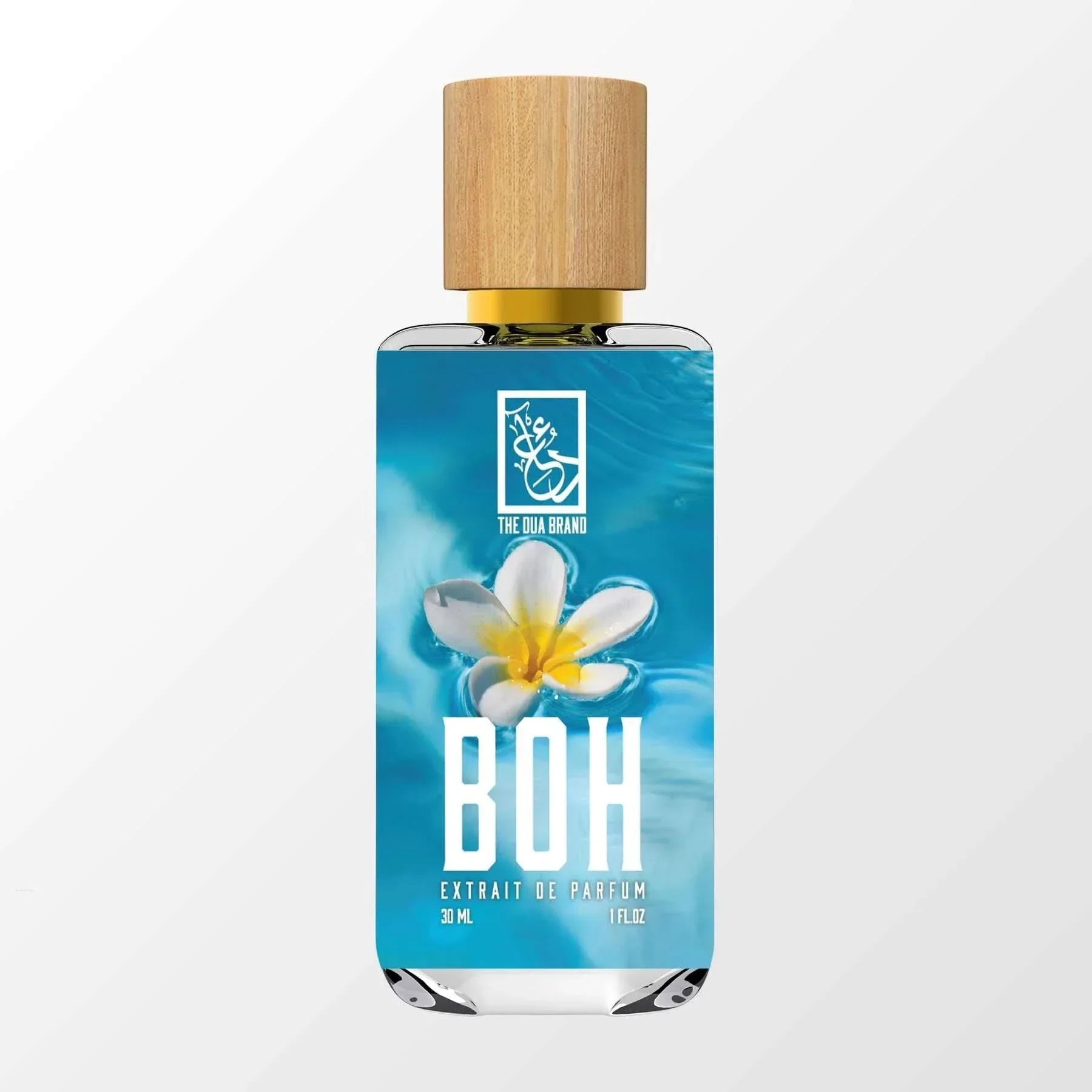 BOH - Image 4