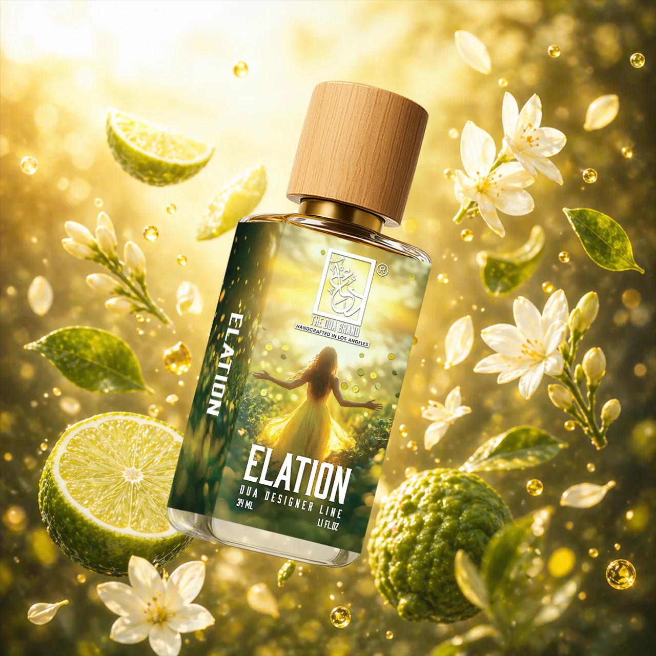 Elation - Image 2
