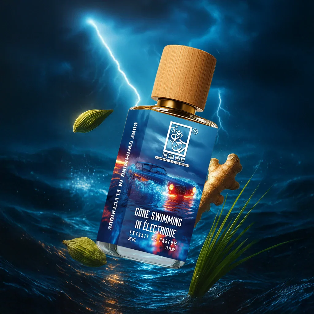 Gone Swimming in Électrique - Image 2